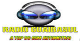 Radio Guaibasul