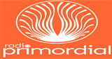 Radio Primordial