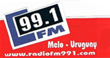99.1 FM
