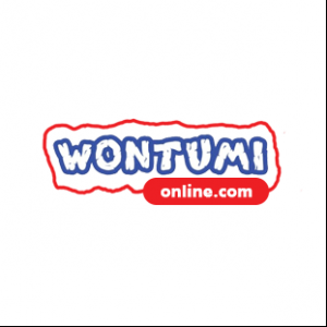 Wontumi Radio