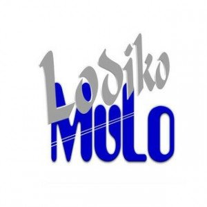 Lodiko SODONYO